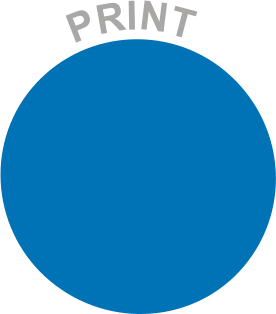 P R I N T